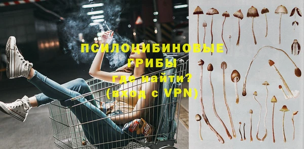 амф Михайловка
