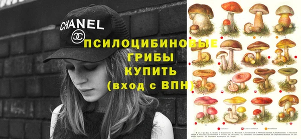 амф Михайловка