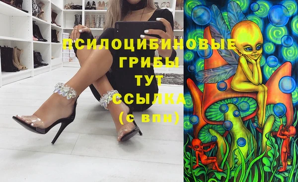 Альфа ПВП Мегион
