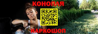 мяу мяу мука Кандалакша