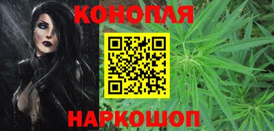 прущие грибы Канаш