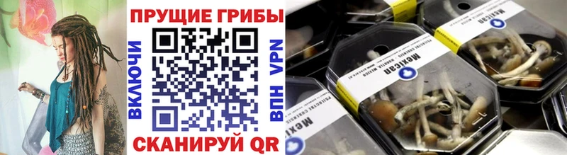 Псилоцибиновые грибы Psilocybine cubensis  mega как зайти  Краснодар 